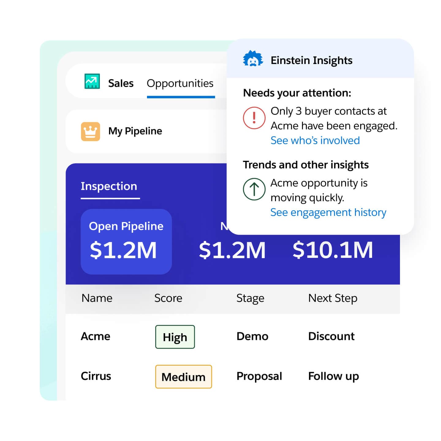 Salesforce pipeline management view