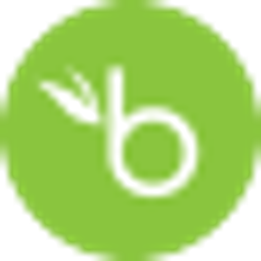 BambooHR logo