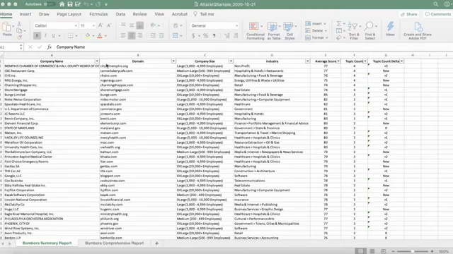 Bombora Company Surge summary report export in Excel