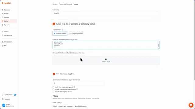 Hunter Bulk Domain Search setup with domain list input and filters