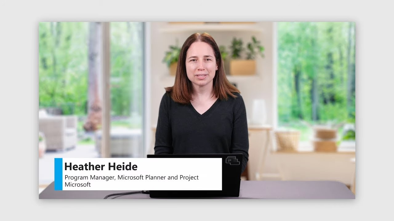 Microsoft Project overview interface