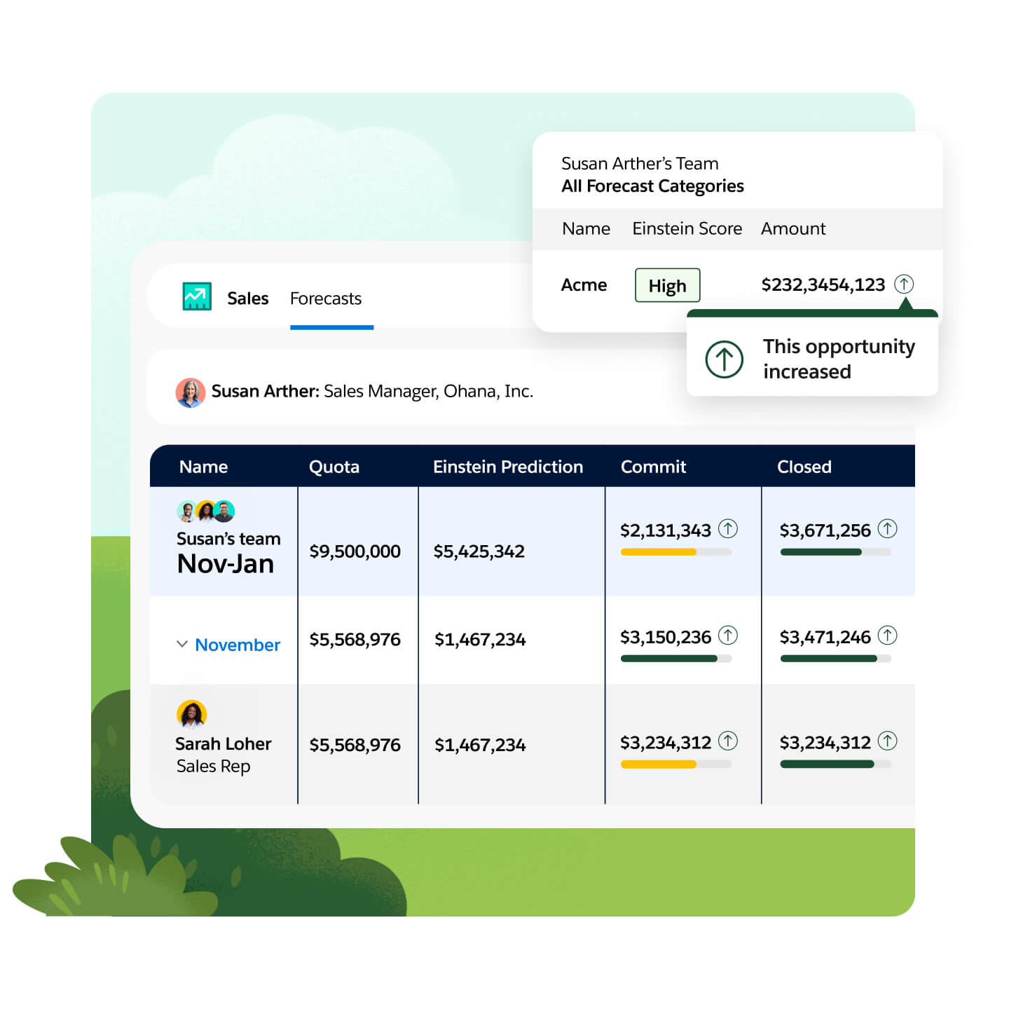 Salesforce sales forecasting view